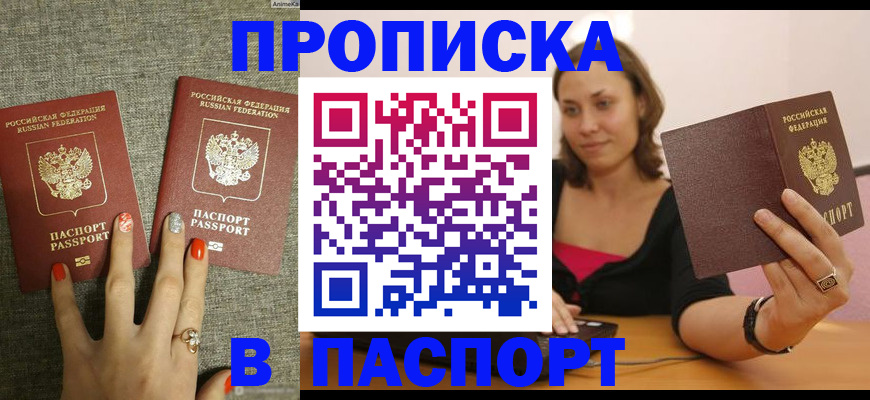 прописка паспорт в Палласовке